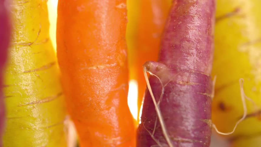 Close up view of carrots and turnips