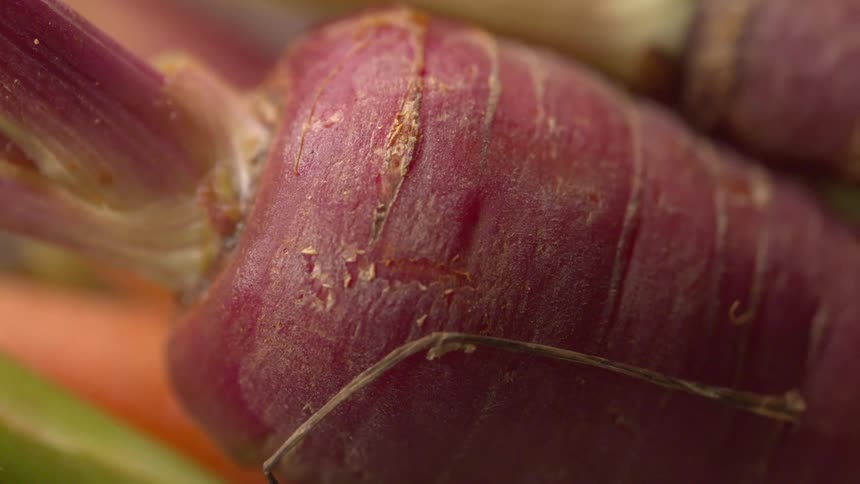 Purple carrot appears in macro with details of the surface cracks