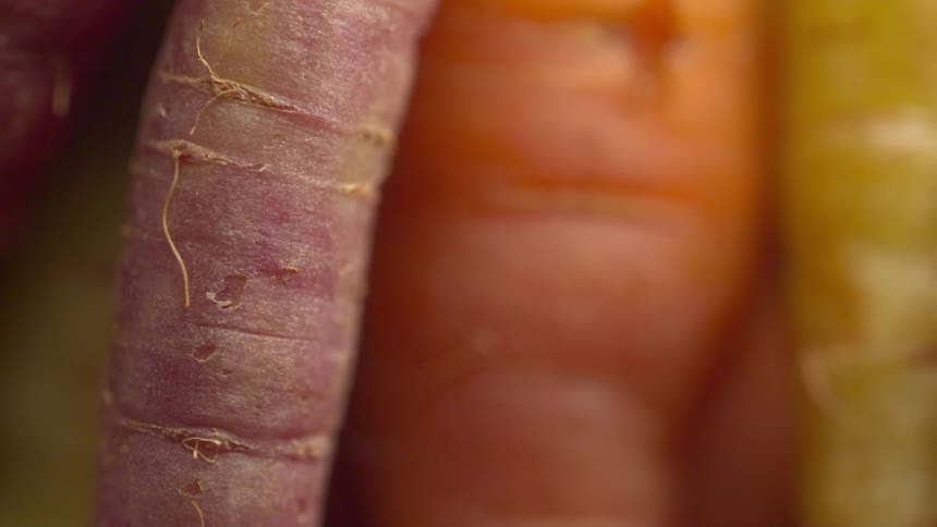 The video provides an extreme closeup of a cluster of heirloom carrots highlighting their vibrant colors and surface texturesthe shot centers on a purplishpink carrot flanked by a blurred orange carrot on the right and another purplish carrot on t