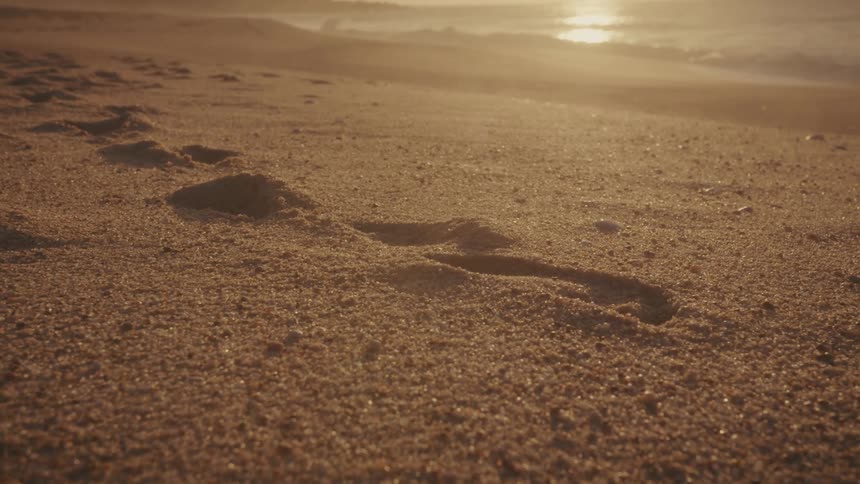 Footprints in the sand at the beach outdoors at sunset