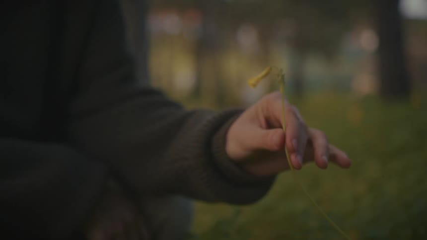 Hand holds a small yellow flower with a thin stem in a blurred outdoor setting