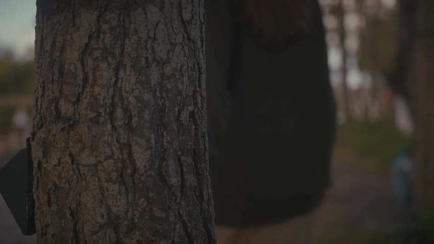A young woman rubs her arm against the side of a tree as she walks by at midday
