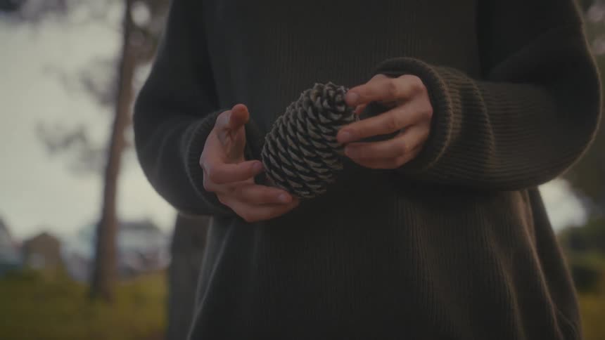 A person holding a pine cone