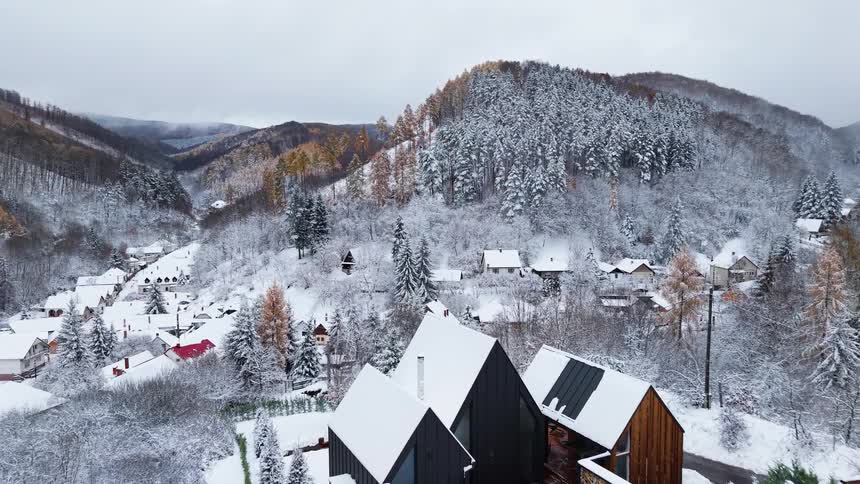 Village in a mountainous region appears covered in snow among dense forests