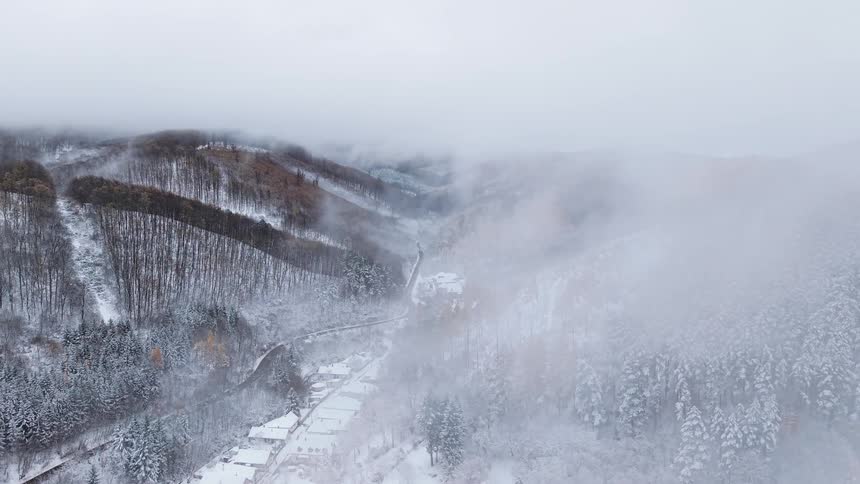 A small town is surrounded by frozen forest and mountains at midday with a foggy atmosphere