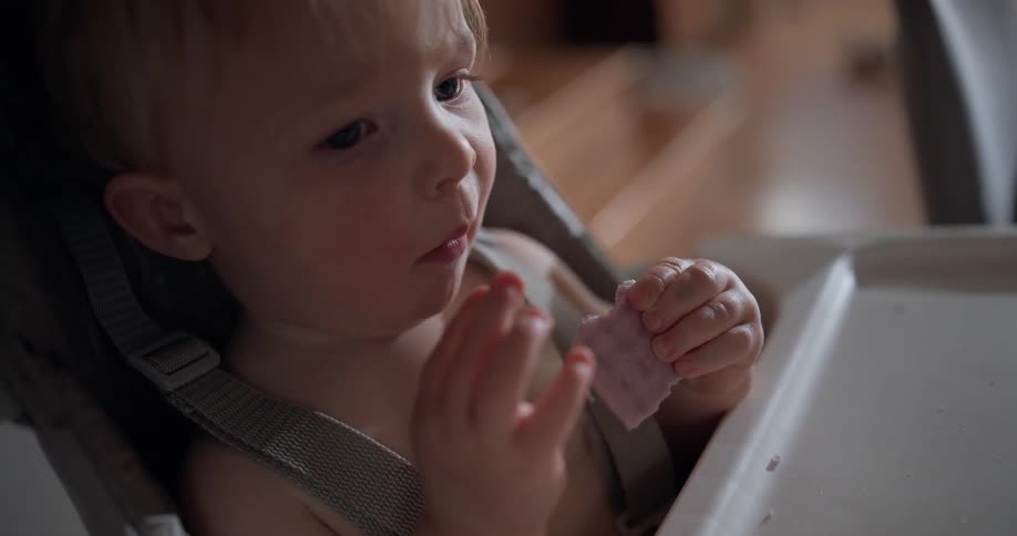 Baby seated in a high chair brings food to the mouth with hands