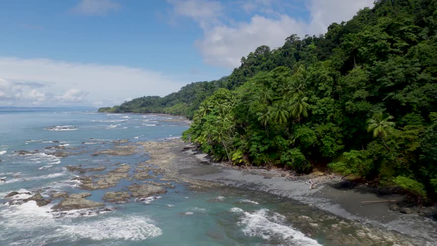 Tropical coastline with dense forest stretches along the ocean with rocky formations visible at low tide
