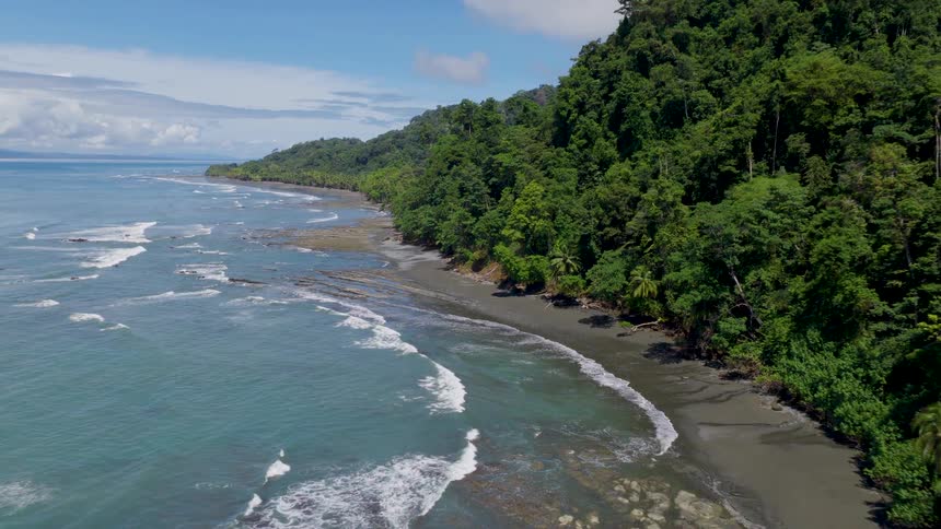 Aerial of a tropical coastal area during daytime