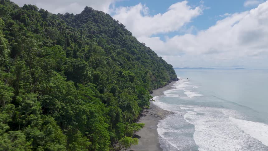 Dense tropical forest meets sea with gentle waves