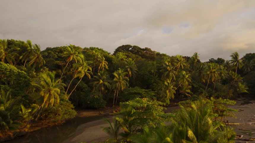 Tropical vegetation bordering narrow river winding toward beach with driftwood under cloudy sky