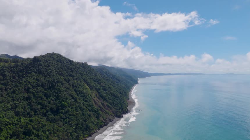 Aerial view of lush coastal forest meeting blue sea under clear sky with scattered clouds