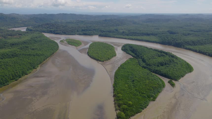 Vegetated islands spread across winding river in tropical forest