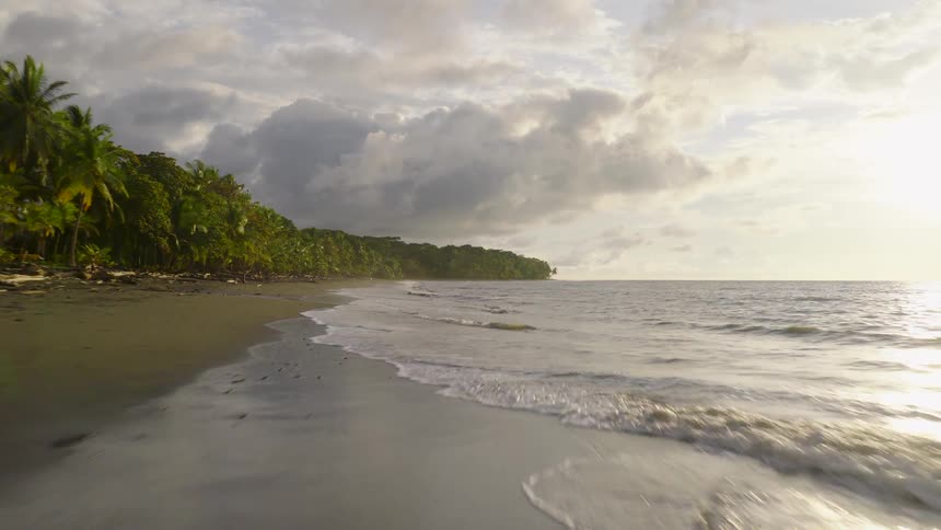 Stretch of beach with dense vegetation on the left and gentle waves on the right