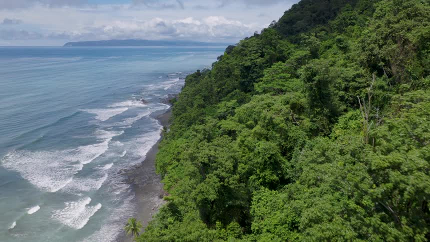 Waves roll in to shore as trees and vegetation cover the mountain overlooking the coast