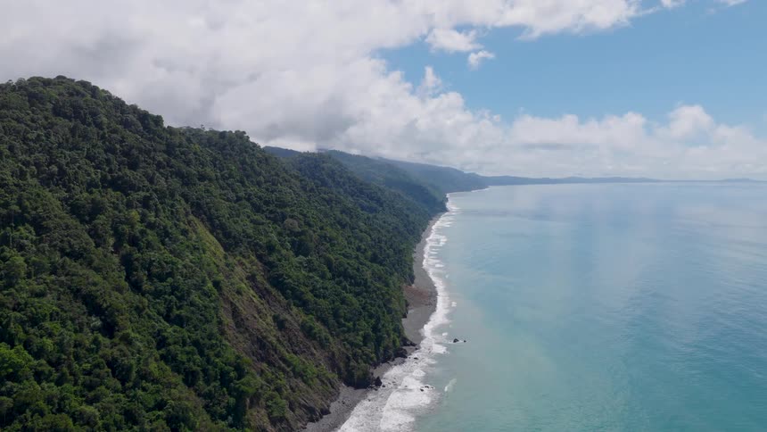 High above a pristine coastline the camera glides forward revealing a dramatic meeting point where dense lush green rainforest mountains plunge directly onto a narrow dark sandy beach bordered by calm blue waters