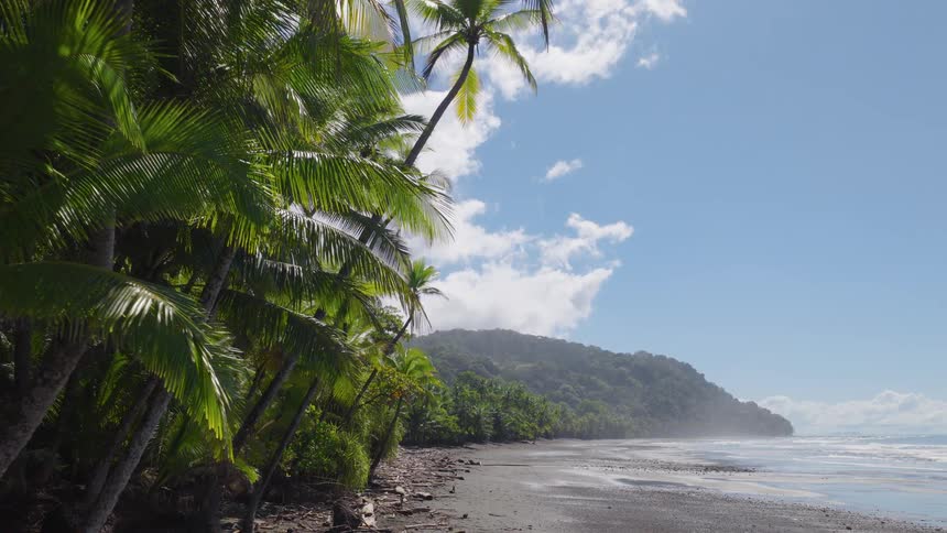 Tropical plants on the coast as waves roll in to shore and over the beach with a mountain in the distance