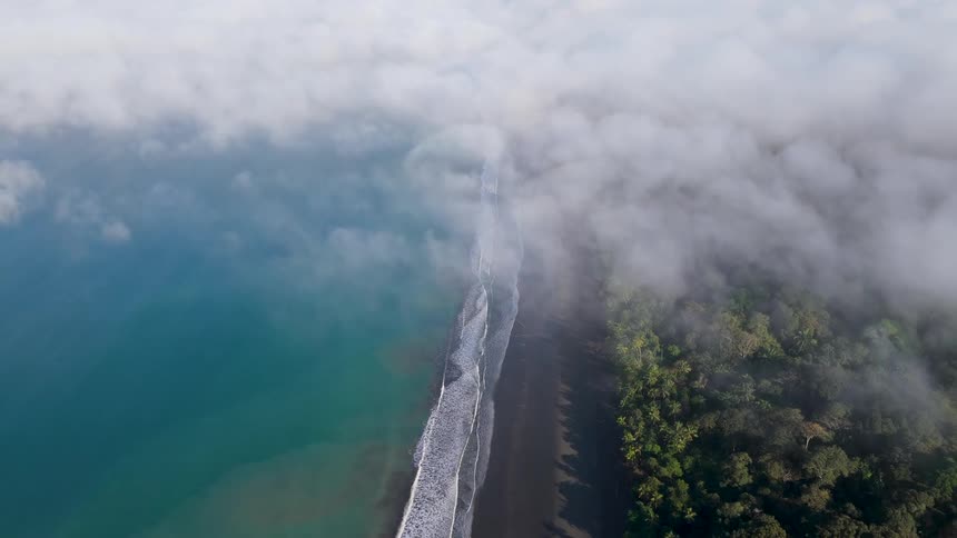 The waves crash against the shore with a large forest