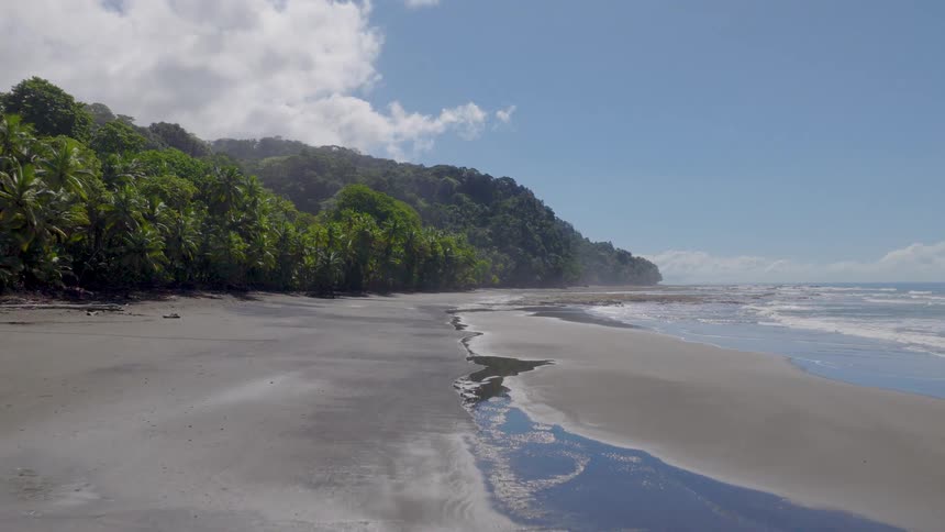 Waves roll in to shore and over the beach as trees and vegetation cover the promontory overlooking the coast
