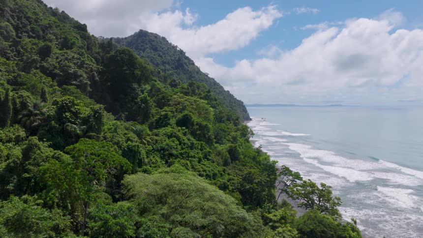 Waves roll in to shore as trees and vegetation cover the promontory overlooking the coast