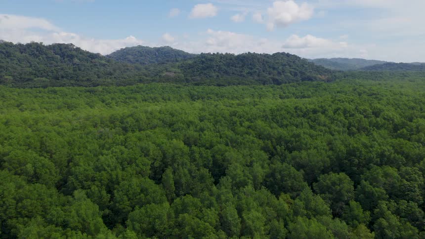 Dense tropical forest covers hills under partly cloudy sky
