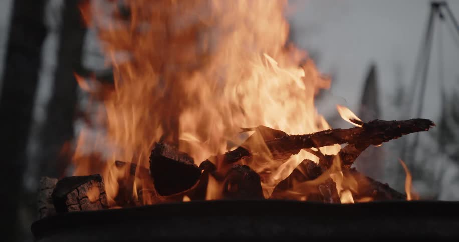 Pieces of wood char in an outdoor fire burning near conifer trees during the daytime