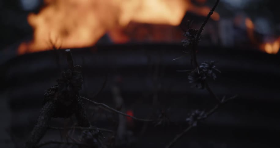 A blurry background of bright orange flames contrasts with sharp dark pine tree branches and pine cones in the foreground outdoors at night