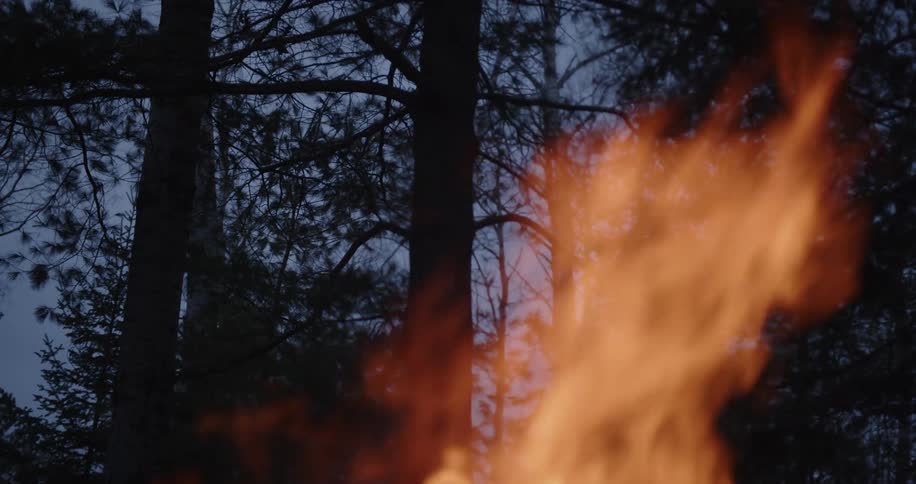 Flames rise in the foreground with forest trees visible in the background at dusk