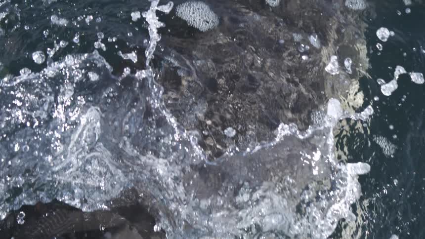 A large whale breaks the surface of the dark water creating a massive splash of bubbles and foam