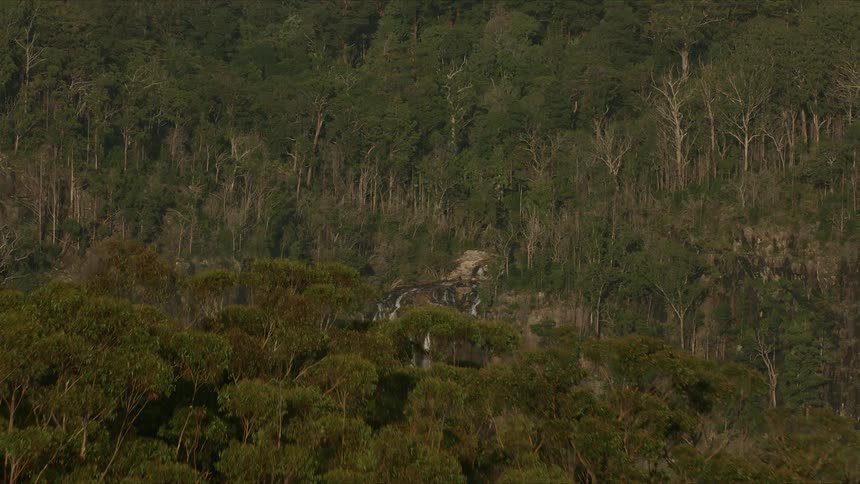 A narrow waterfall cascades down a sheer dark cliff face into a forested valley under a bright sunny sky
