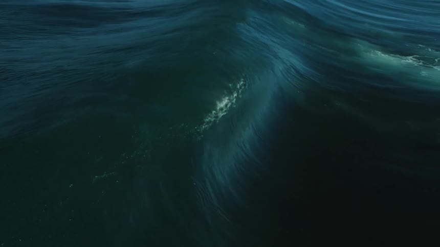A powerful dark blue ocean wave swells and crests in dramatic slow motion its peak breaking into white foam against the deep sea