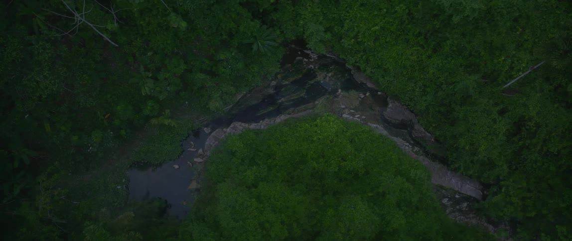 An overhead view shows a small stream winding through a dense tropical jungle of vibrant green trees and vegetation