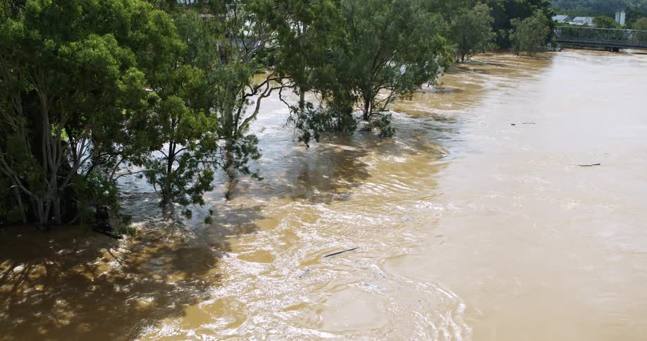 The floodwaters pass by the trees in the forest
