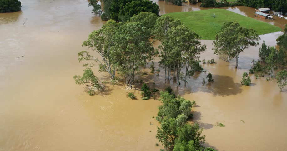 Partially flooded rural area shows submerged trees and fields surrounded by muddy water