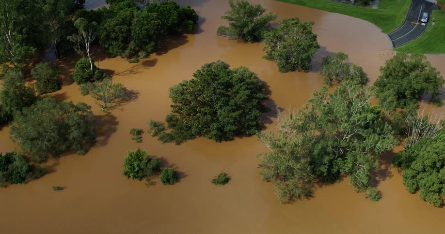 Brown muddy floodwater covers a wide area surrounding and submerging the lower parts of numerous green trees with a partially visible paved road curving along the right side