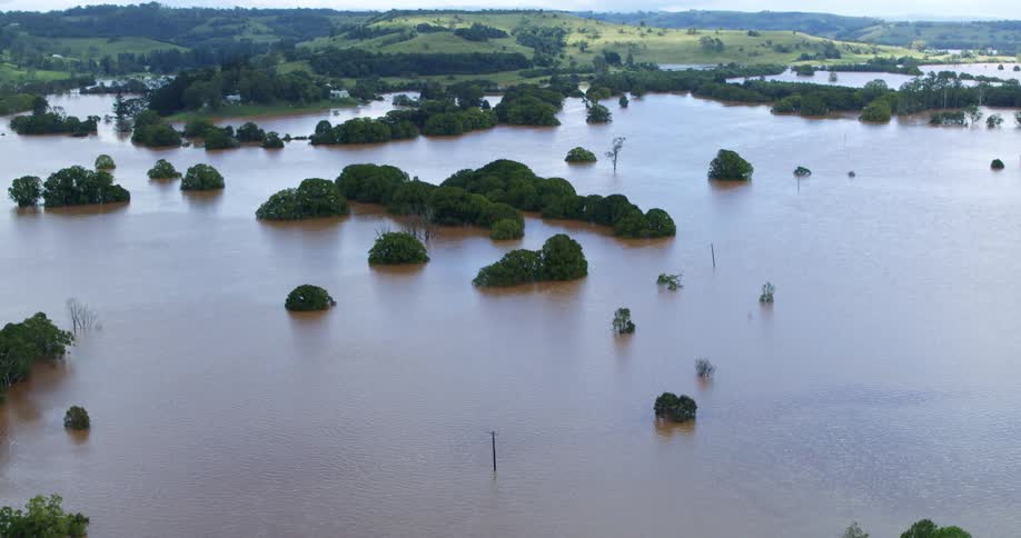 Extensive rural area appears fully flooded with tree canopies emerging above the water