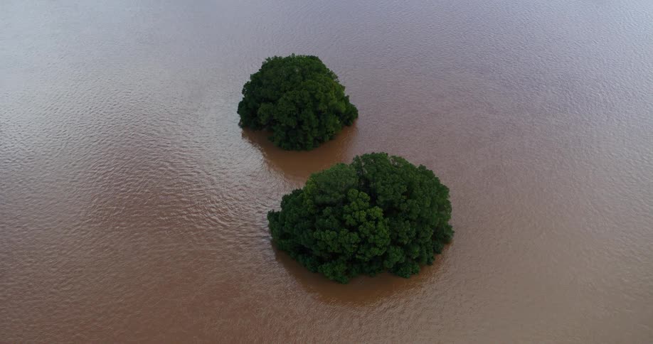 An aerial view shows two round clumps of dense green trees rising out of a wide expanse of still murky brown or flooded water the water surface has fine ripples reflecting the light highlighting the isolation of the foliage