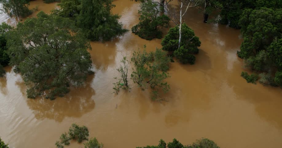 An aerial view capturing an area severely impacted by flooding where murky brown floodwaters have submerged the landscape leaving only the tops of trees and dense foliage visible above the surface