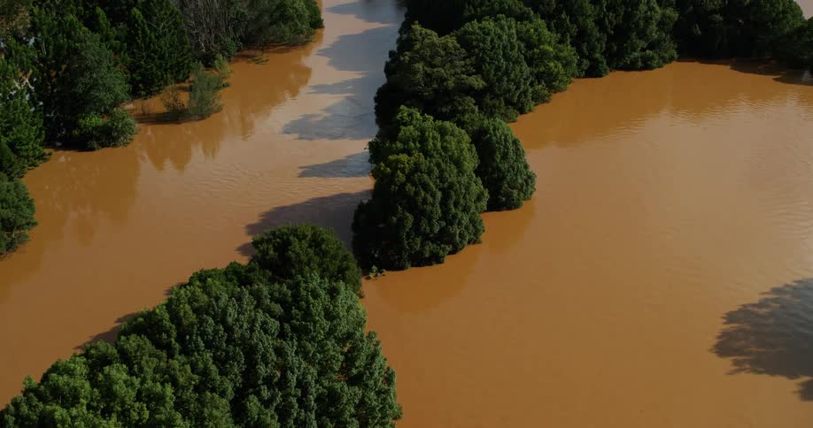 Flooded river with muddy water surrounded by dense vegetation
