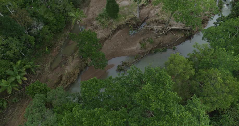 Riverbank between two areas of jungle land outdoos