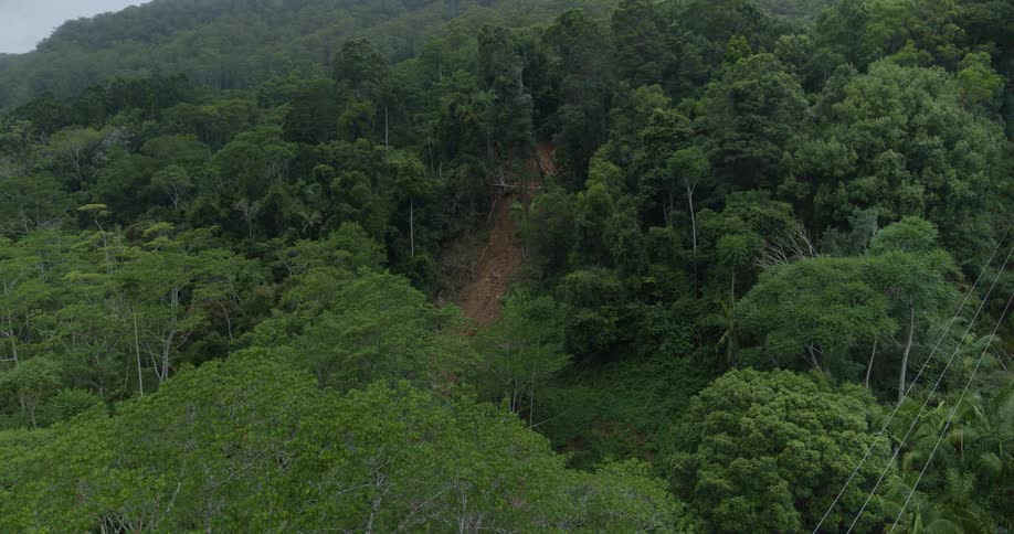 Aerial view of a long muddy landslide cutting through a dense green forest