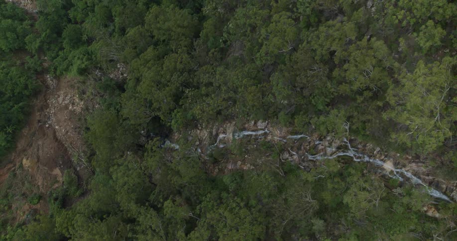 Narrow stream crosses a rocky hillside covered by dense vegetation