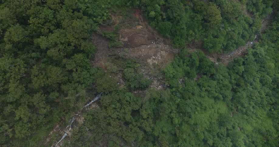 Jungle area divided by a water stream outdoors during day time