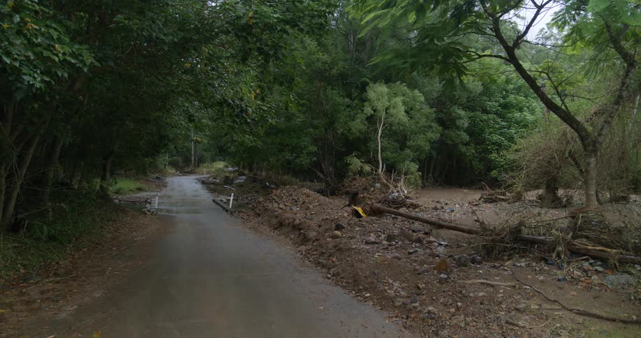 A muddy road winds through a forest with a small stream or flood channel running alongside it showing the aftermath of recent flood