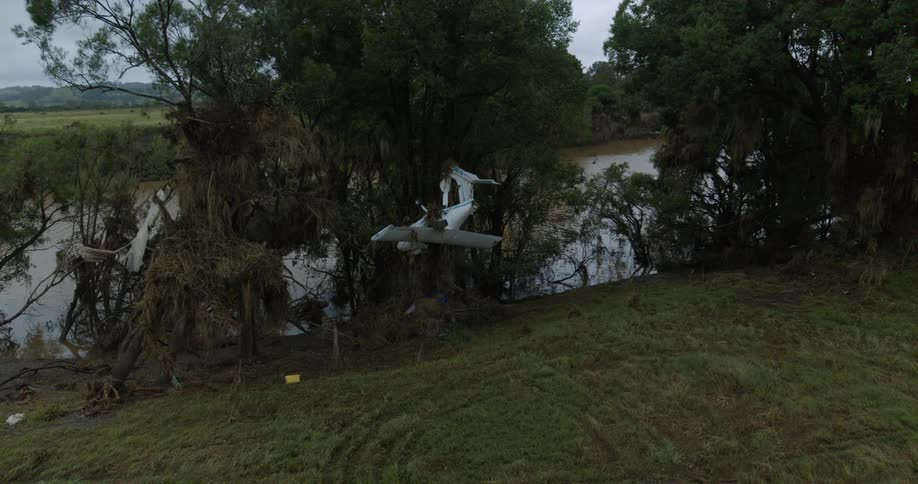 Aircraft wreckage caught among trees along a riverbank