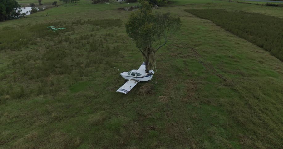 A small white airplane lies wrecked in a field with a tree growing right through its fuselage