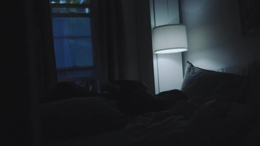 A wide shot shows a man lying in bed mostly in silhouette under dark covers using a cellphone while illuminated by a bright bedside lamp and blue light from a nearby window