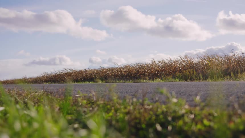 Black sedan in motion crosses rural road with green field and partly cloudy sky in background