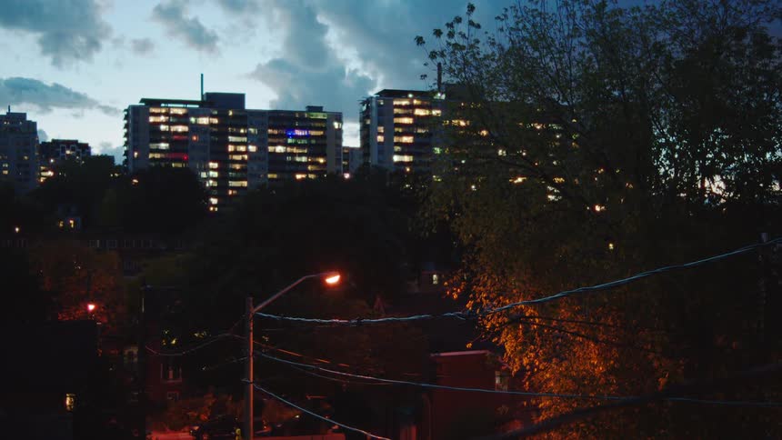 Tall illuminated buildings rise behind trees and poles under darkening sky