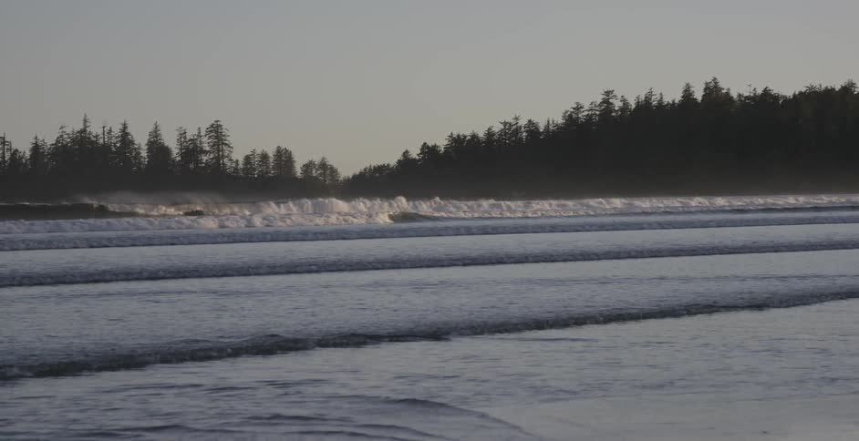 Waves roll toward the beach in an area with a forest