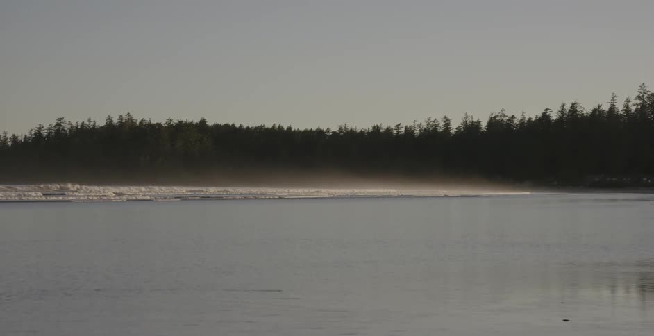 Waves crashing in the ocean with trees in the background and a grey sky